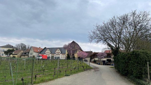 Küchengeflüster