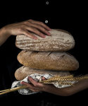 MGH Gutes aus Hessen-Spezial: Vom Korn bis hin zum Brot – In der Backstube des Vulkanbäckers