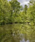 Ebbelwoi, Waldbiotope & Dünen am Stadtrand - Eine geführte E-Bike Tour in Frankfurts Süden