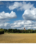 Frankfurter 
