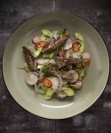 Japanischer Rindfleisch- Gurkensalat