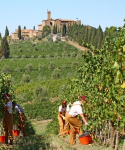 Foto: Castello Banfi