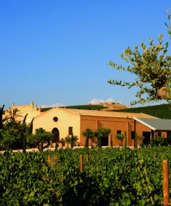 Foto: Weingut Donnafugata