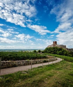 Foto: Consorzio Tutela Vini Soave