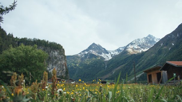 Küchengeflüster