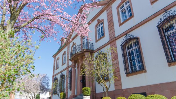 Küchengeflüster